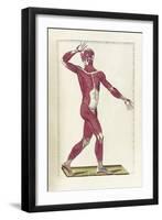 The Science of Human Anatomy by Bartholomeo Eustachi-Stocktrek Images-Framed Art Print