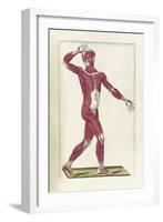 The Science of Human Anatomy by Bartholomeo Eustachi-Stocktrek Images-Framed Art Print