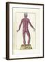 The Science of Human Anatomy by Bartholomeo Eustachi-Stocktrek Images-Framed Art Print