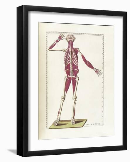 The Science of Human Anatomy by Bartholomeo Eustachi-Stocktrek Images-Framed Art Print