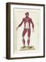 The Science of Human Anatomy by Bartholomeo Eustachi-Stocktrek Images-Framed Art Print