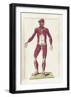 The Science of Human Anatomy by Bartholomeo Eustachi-Stocktrek Images-Framed Art Print