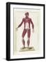 The Science of Human Anatomy by Bartholomeo Eustachi-Stocktrek Images-Framed Art Print