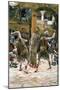 The Scourging, Illustration for 'The Life of Christ', C.1884-96-James Tissot-Mounted Giclee Print