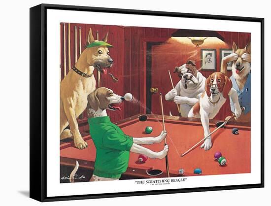 The Scratching Beagle-Arthur Sarnoff-Framed Stretched Canvas