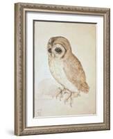 The Screech Owl-Albrecht Dürer-Framed Giclee Print