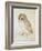 The Screech Owl-Albrecht Dürer-Framed Giclee Print