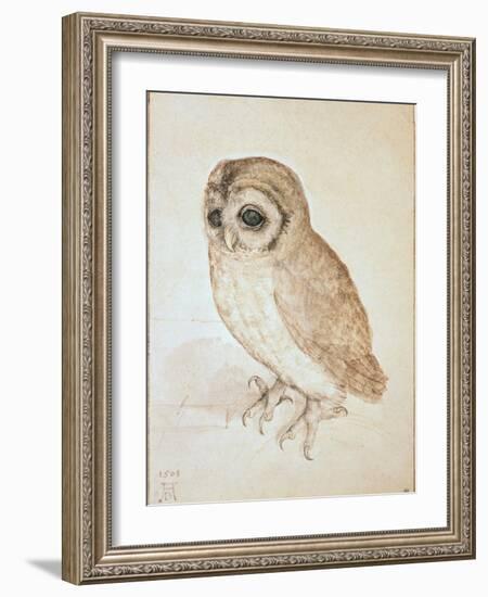 The Screech Owl-Albrecht Dürer-Framed Giclee Print