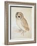 The Screech Owl-Albrecht Dürer-Framed Giclee Print