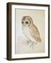 The Screech Owl-Albrecht Dürer-Framed Giclee Print