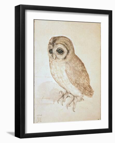 The Screech Owl-Albrecht Dürer-Framed Giclee Print