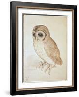 The Screech Owl-Albrecht Dürer-Framed Giclee Print