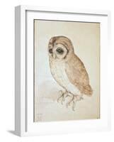 The Screech Owl-Albrecht Dürer-Framed Giclee Print