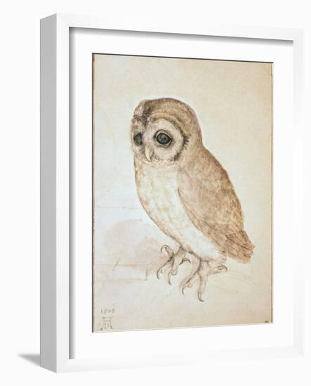 The Screech Owl-Albrecht Dürer-Framed Giclee Print