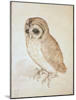 The Screech Owl-Albrecht Dürer-Mounted Giclee Print