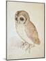 The Screech Owl-Albrecht Dürer-Mounted Giclee Print