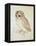 The Screech Owl-Albrecht Dürer-Framed Stretched Canvas