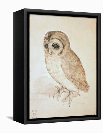 The Screech Owl-Albrecht Dürer-Framed Stretched Canvas