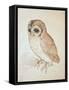 The Screech Owl-Albrecht Dürer-Framed Stretched Canvas