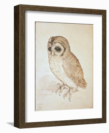 The Screech Owl-Albrecht Dürer-Framed Giclee Print