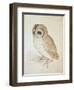 The Screech Owl-Albrecht Dürer-Framed Giclee Print