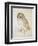 The Screech Owl-Albrecht Dürer-Framed Giclee Print