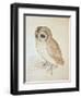 The Screech Owl-Albrecht Dürer-Framed Giclee Print