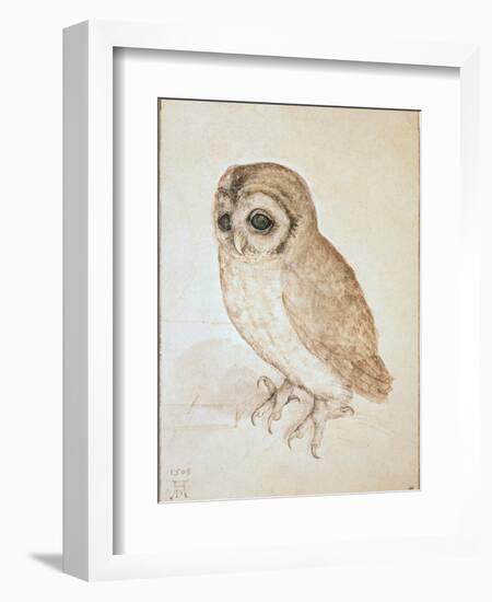 The Screech Owl-Albrecht Dürer-Framed Giclee Print