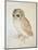 The Screech Owl-Albrecht Dürer-Mounted Giclee Print