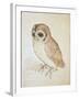 The Screech Owl-Albrecht Dürer-Framed Giclee Print