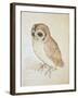 The Screech Owl-Albrecht Dürer-Framed Giclee Print