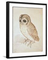 The Screech Owl-Albrecht Dürer-Framed Giclee Print