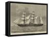 The Screw-Steamer Durham, Australian Liner-null-Framed Stretched Canvas