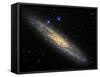 The Sculptor Galaxy, NGC 253 in the Constellation Sculptor-Stocktrek Images-Framed Stretched Canvas