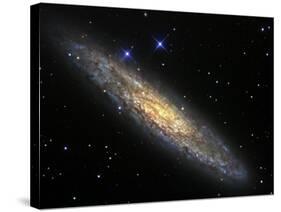 The Sculptor Galaxy, NGC 253 in the Constellation Sculptor-Stocktrek Images-Stretched Canvas