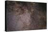 The Scutum Star Cloud in the Northern Summer Milky Way-null-Stretched Canvas