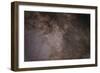 The Scutum Star Cloud in the Northern Summer Milky Way-null-Framed Photographic Print