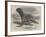 The Sea-Bear at Cremorne Gardens-Thomas W. Wood-Framed Giclee Print