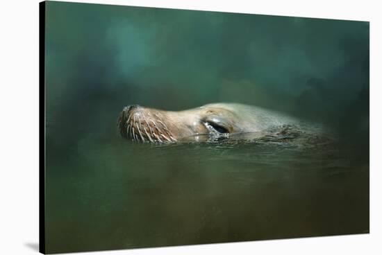 The Sea Lion Emerges-Jai Johnson-Stretched Canvas