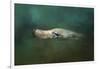 The Sea Lion Emerges-Jai Johnson-Framed Giclee Print