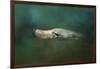 The Sea Lion Emerges-Jai Johnson-Framed Giclee Print