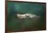 The Sea Lion Emerges-Jai Johnson-Framed Giclee Print