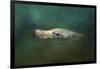 The Sea Lion Emerges-Jai Johnson-Framed Giclee Print