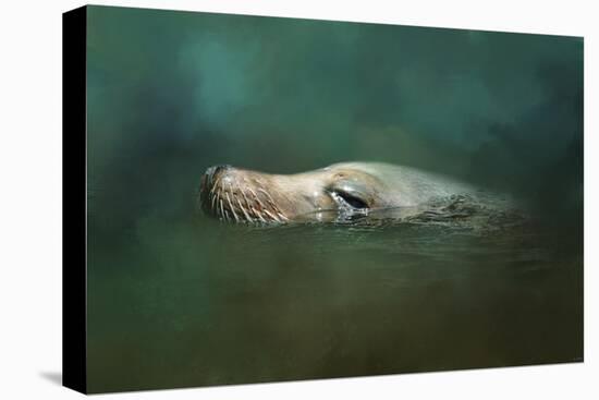 The Sea Lion Emerges-Jai Johnson-Stretched Canvas