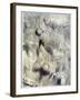 'The Sea Mine', 1916-Louis Raemaekers-Framed Giclee Print