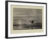 The Sea of Aral at Sunset-null-Framed Giclee Print