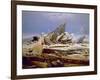 The Sea of Ice, C. 1823-1824-Caspar David Friedrich-Framed Giclee Print