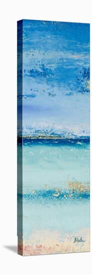 The Sea Panel I-Patricia Pinto-Stretched Canvas