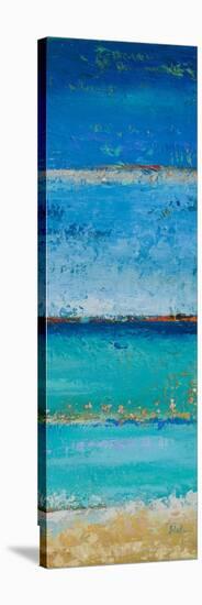 The Sea Panel II-Patricia Pinto-Stretched Canvas