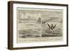 The Sea Serpent in the Mediterranean-null-Framed Giclee Print